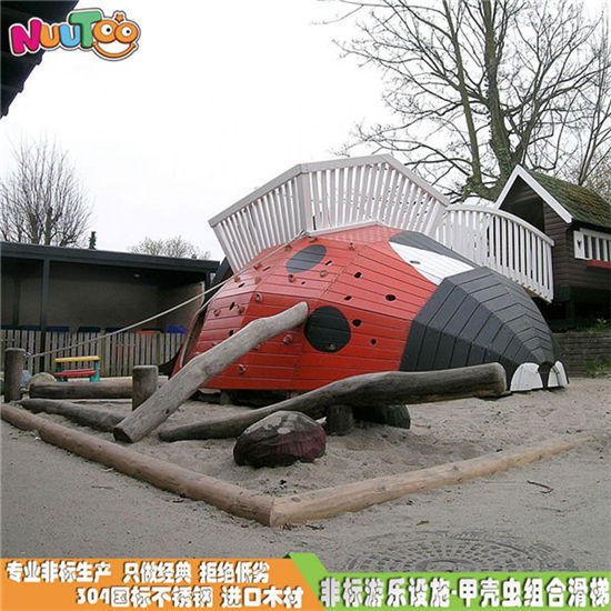 甲殼蟲非標(biāo)游樂設(shè)備有什么款式